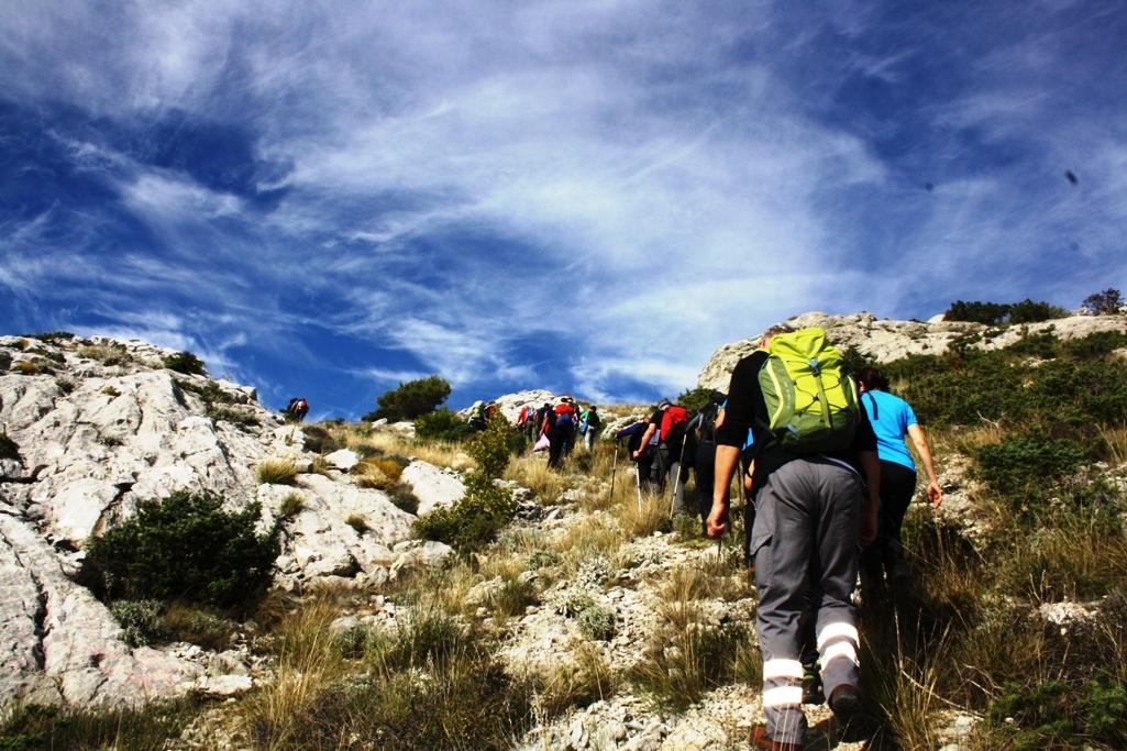Kozjak