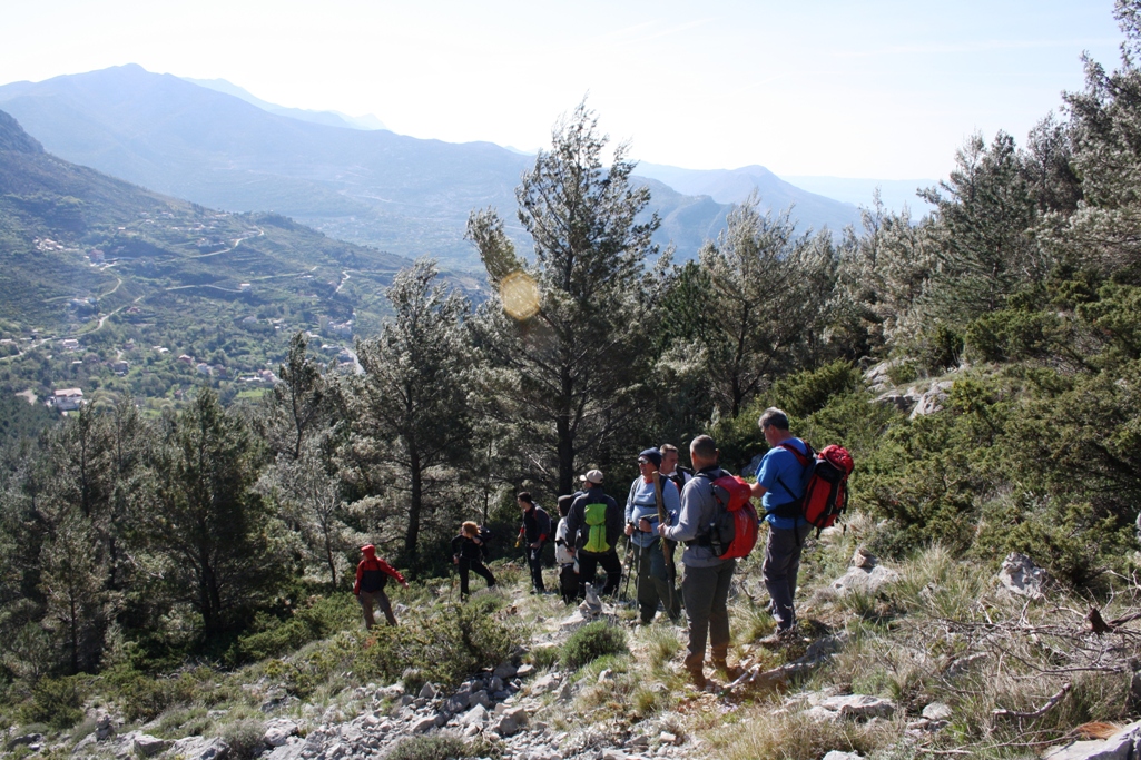Kozjak