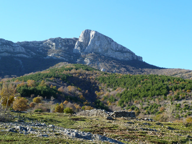 Kijevski Bat