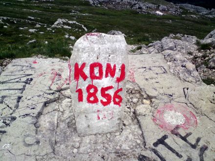 Konj
