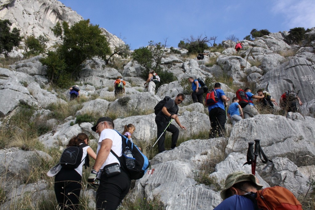 Kozjak