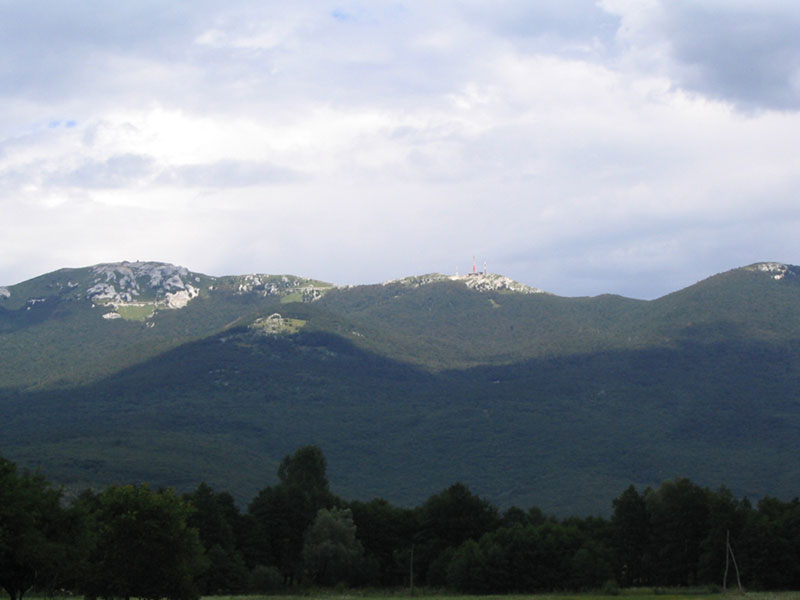 Plješivica