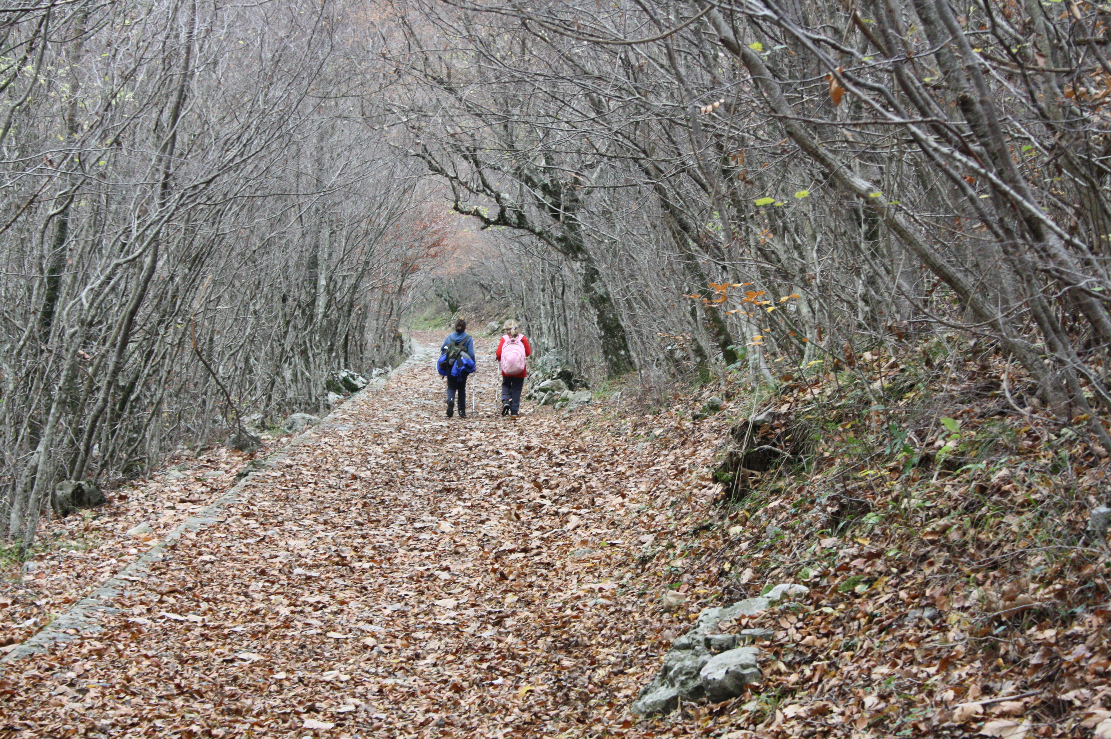 Paklenica