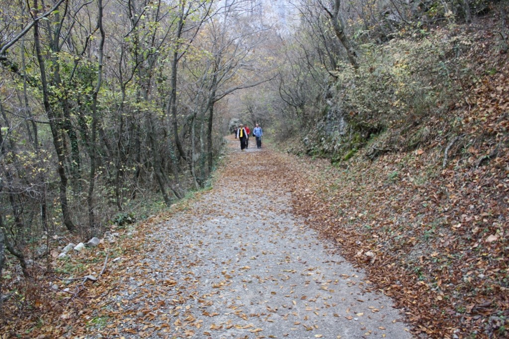Paklenica