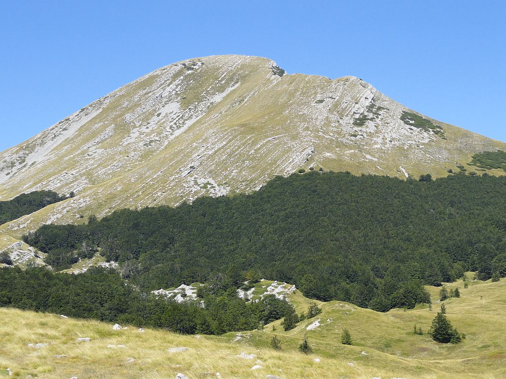 Sv. Brdo