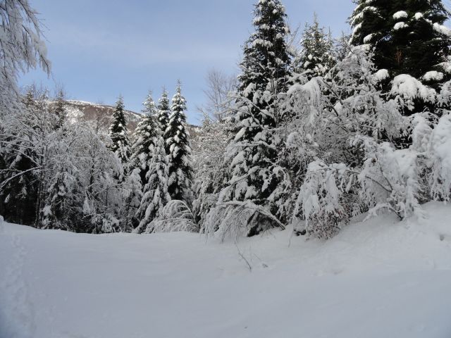 Troglav