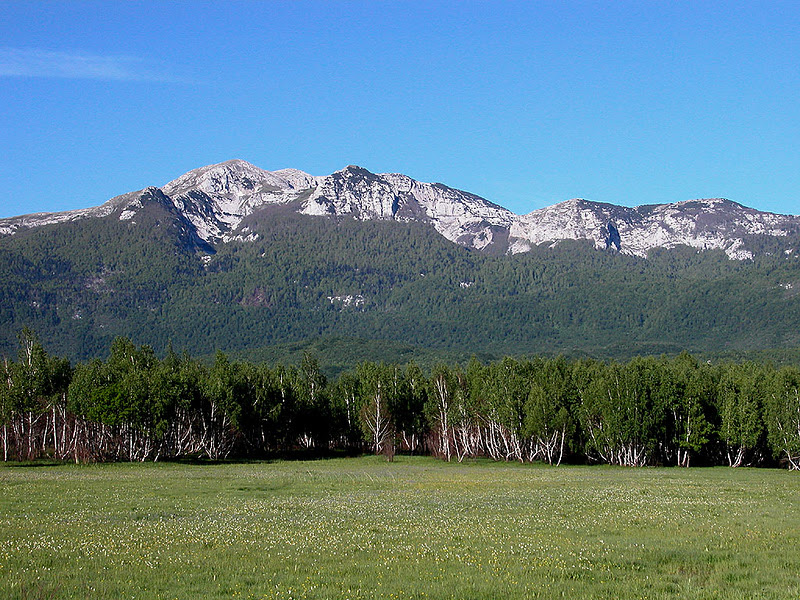 Troglav