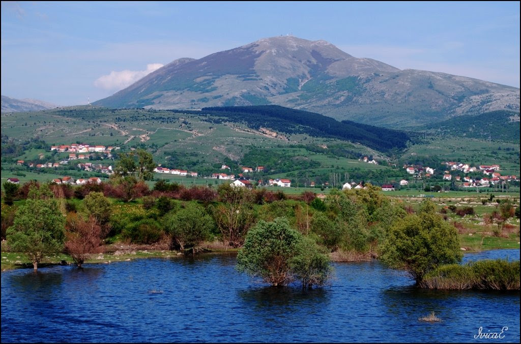 Tusnica