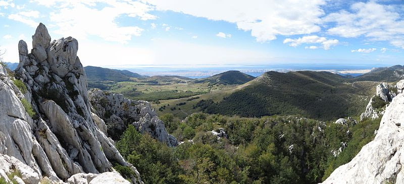 Radosic